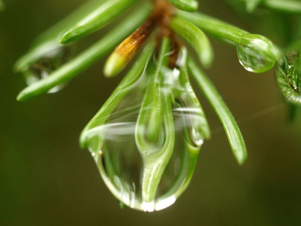 Photograph by Дмитрий Васючков