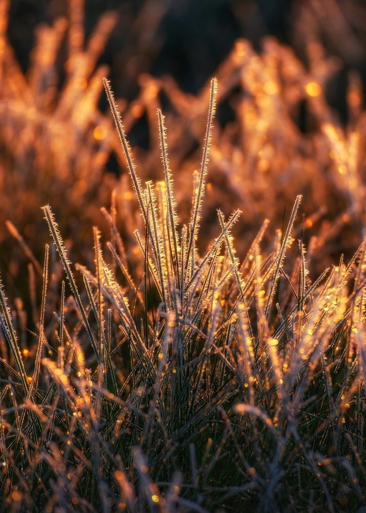 Photograph by Leanid Kulpo