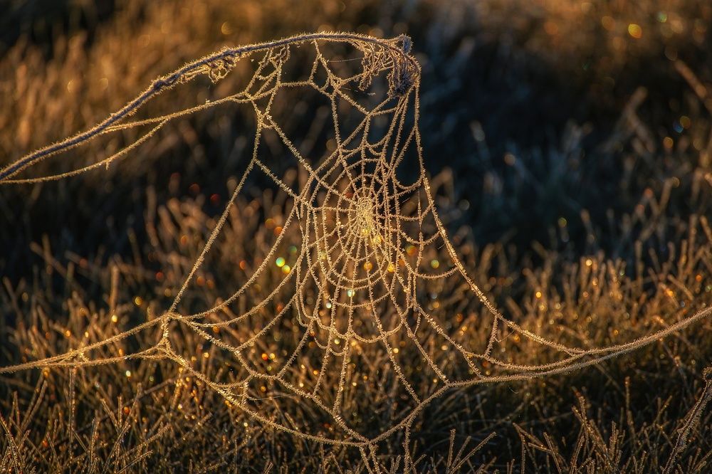 Photograph by Leanid Kulpo