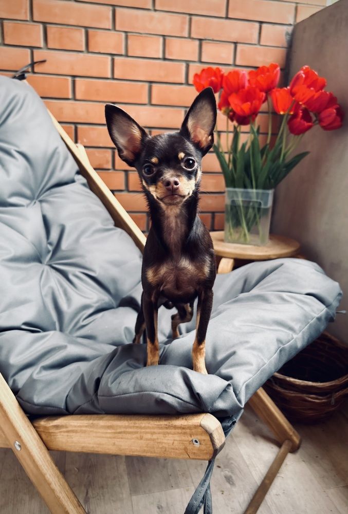 Photograph by Марина Платонова