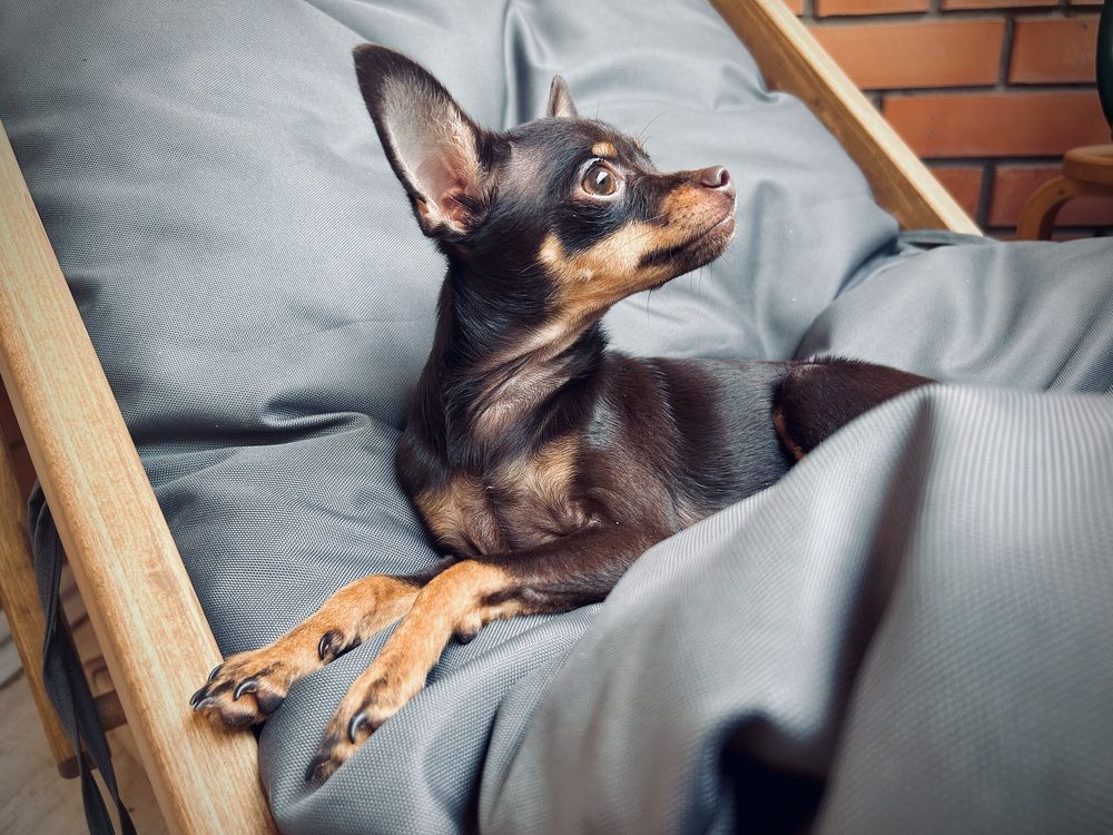 Photograph by Марина Платонова