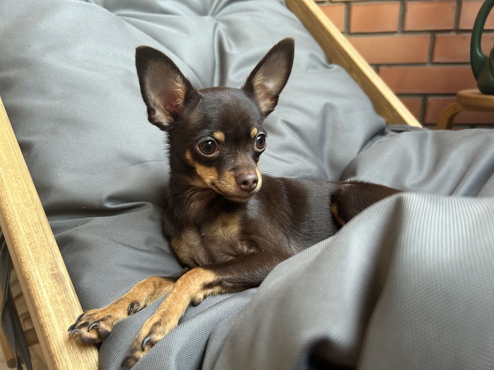 Photograph by Марина Платонова