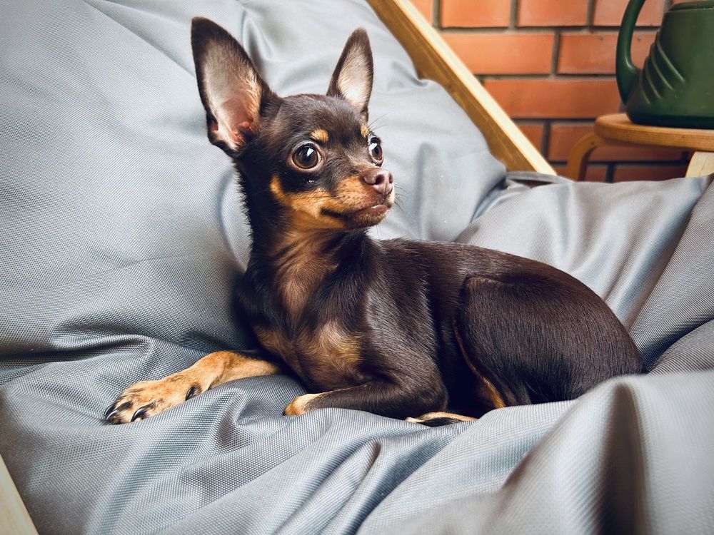 Photograph by Марина Платонова