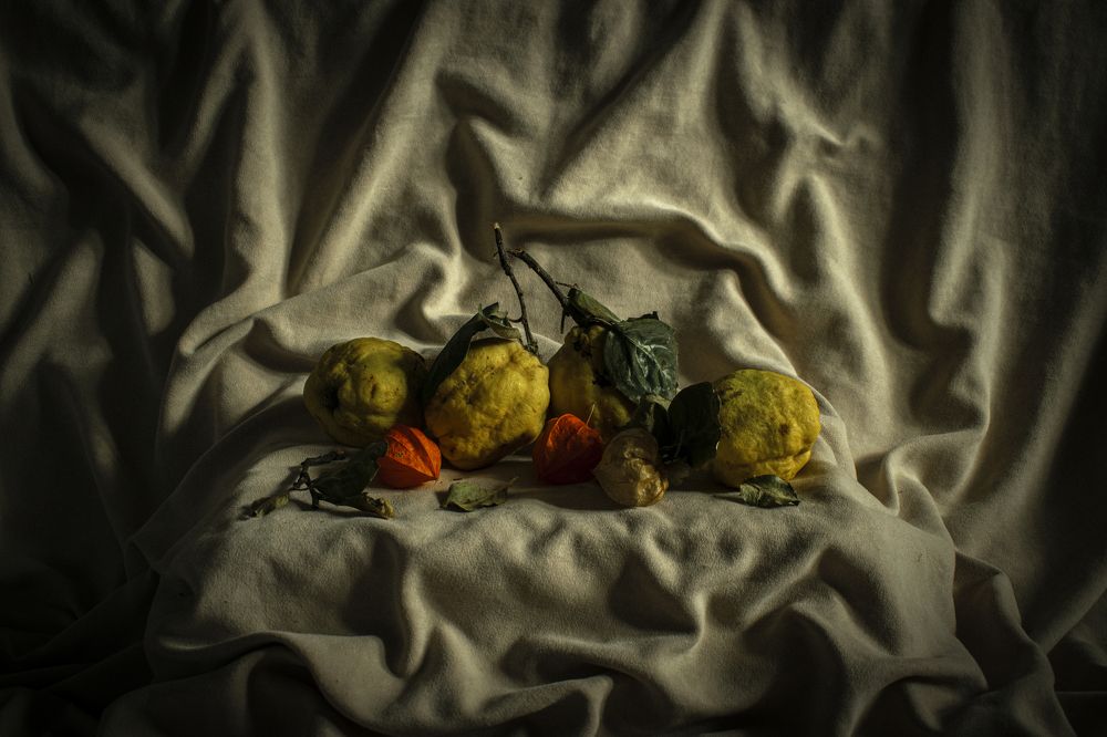 Фотография автора Игорь Белявцев