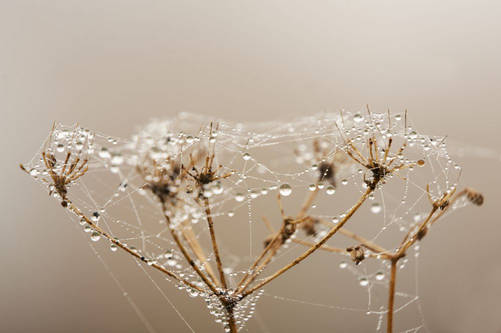 Photograph by Наталья Быстрая