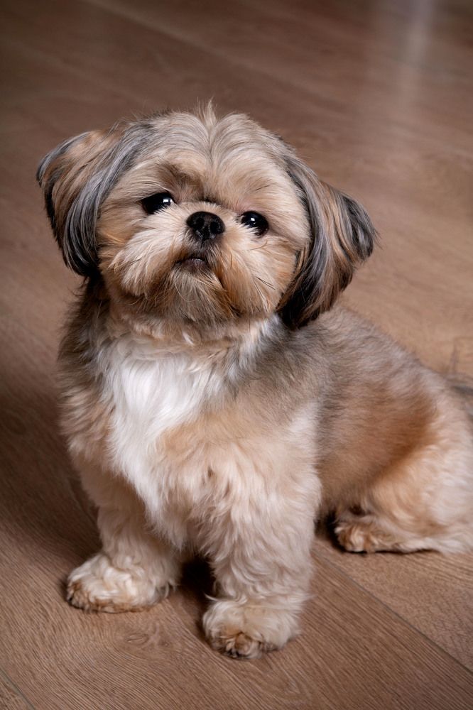 Фотография автора Yaraslava Melchanka