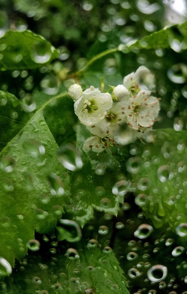 Photograph by Наталья Анисимова