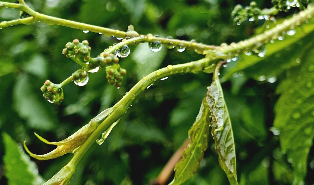 Photograph by Наталья Анисимова