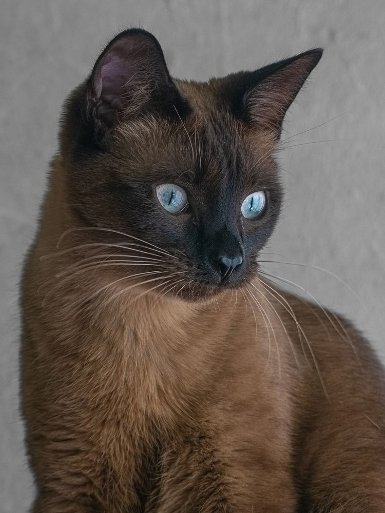 Photograph by Галина Суровицкая