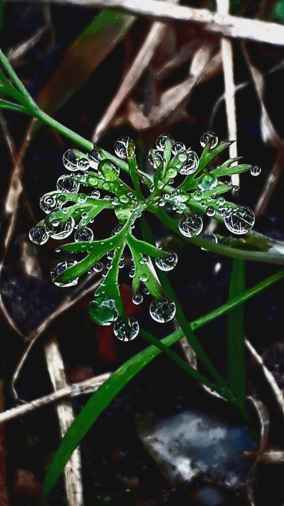 Photograph by Татьяна Солтан