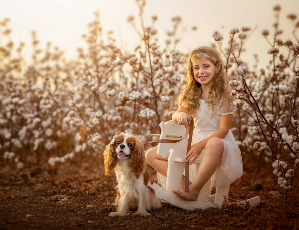 Photograph by Hamutal Avioz