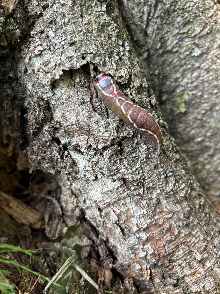 Photograph by Марина Платонова