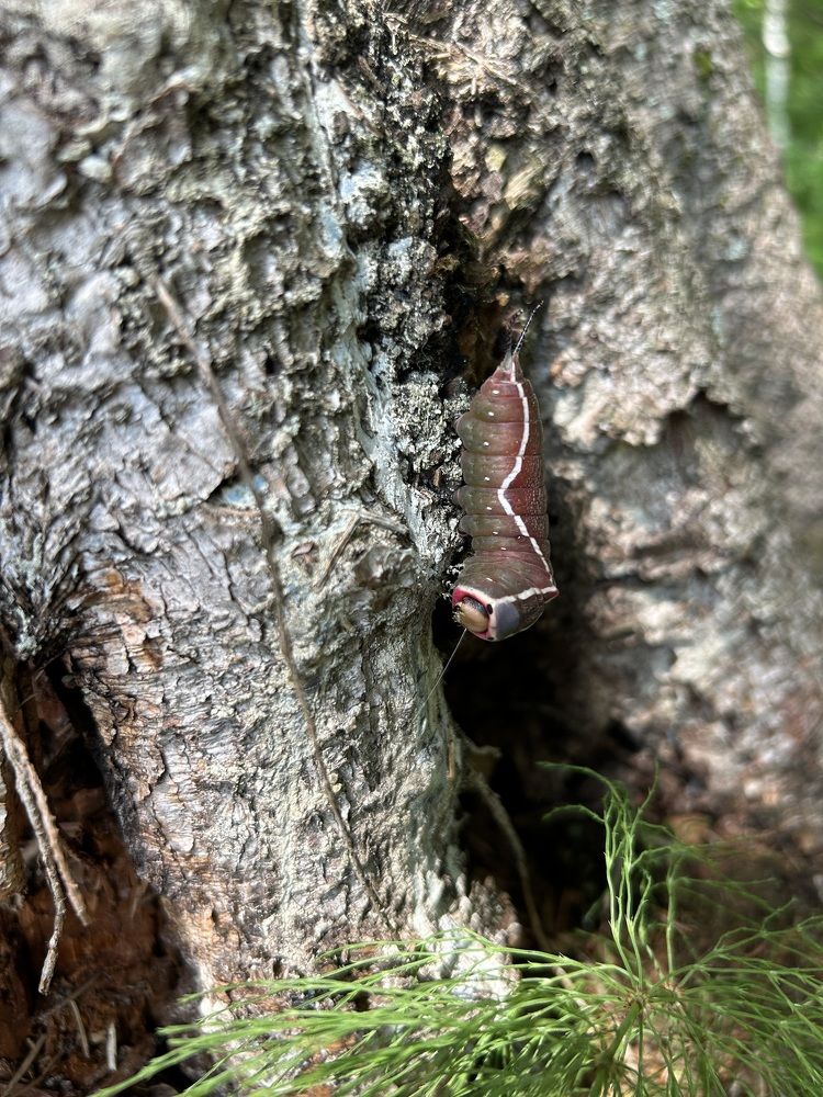 Photograph by Марина Платонова