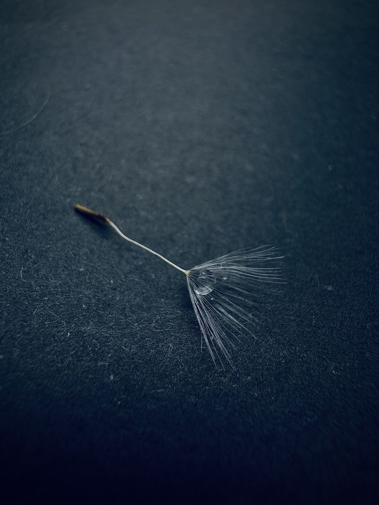 Фотография автора Евгения Елисеева