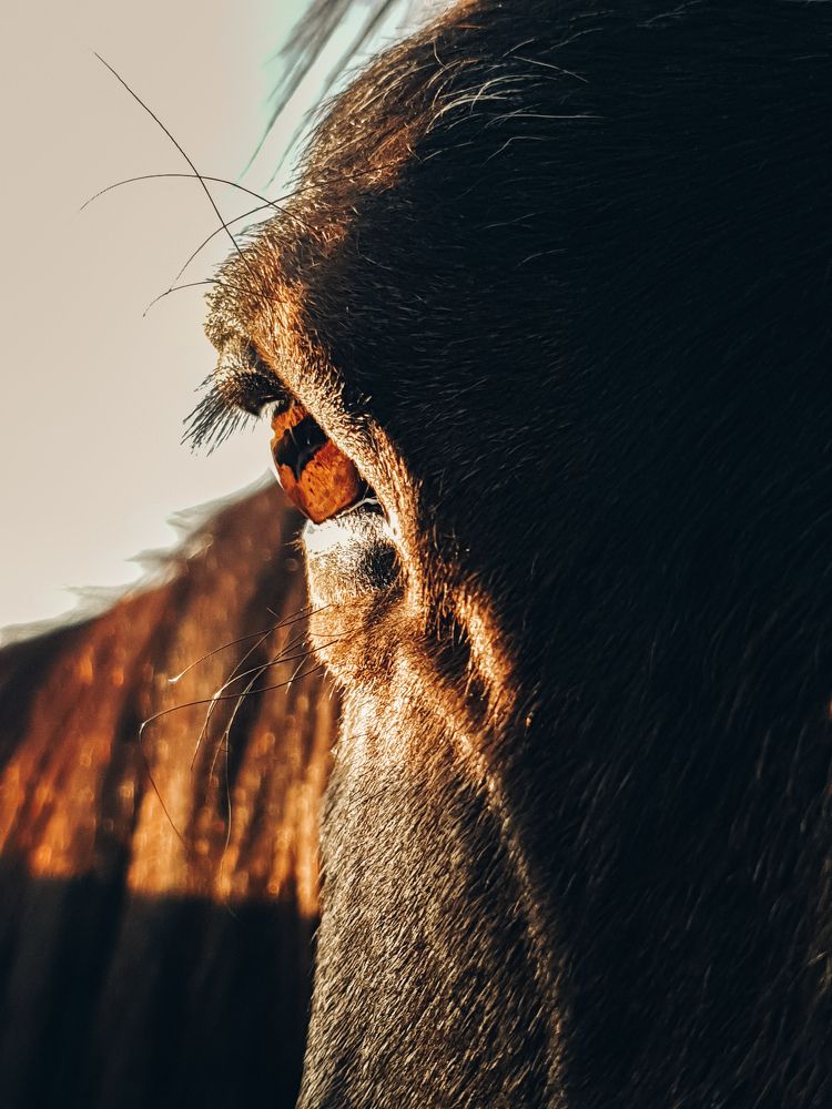 Фотография автора Ольга Шишук