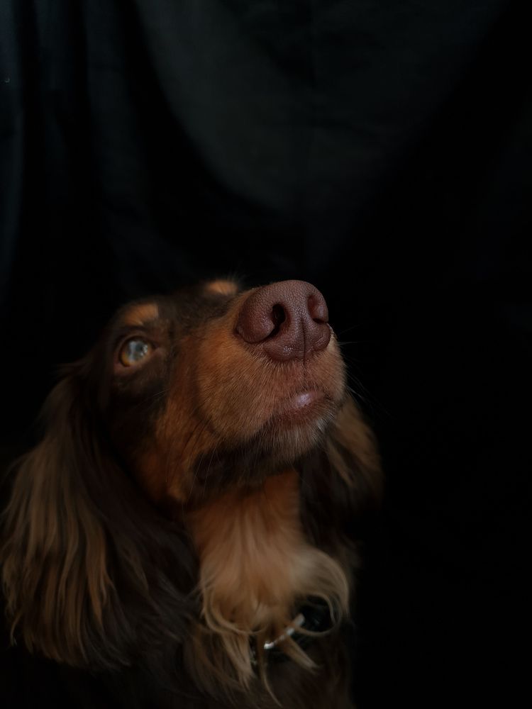 Фотография автора Ольга Шишук