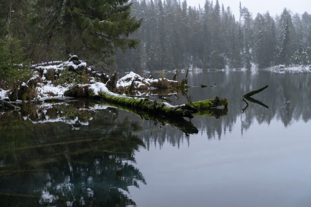 Photograph by Александр Таланов