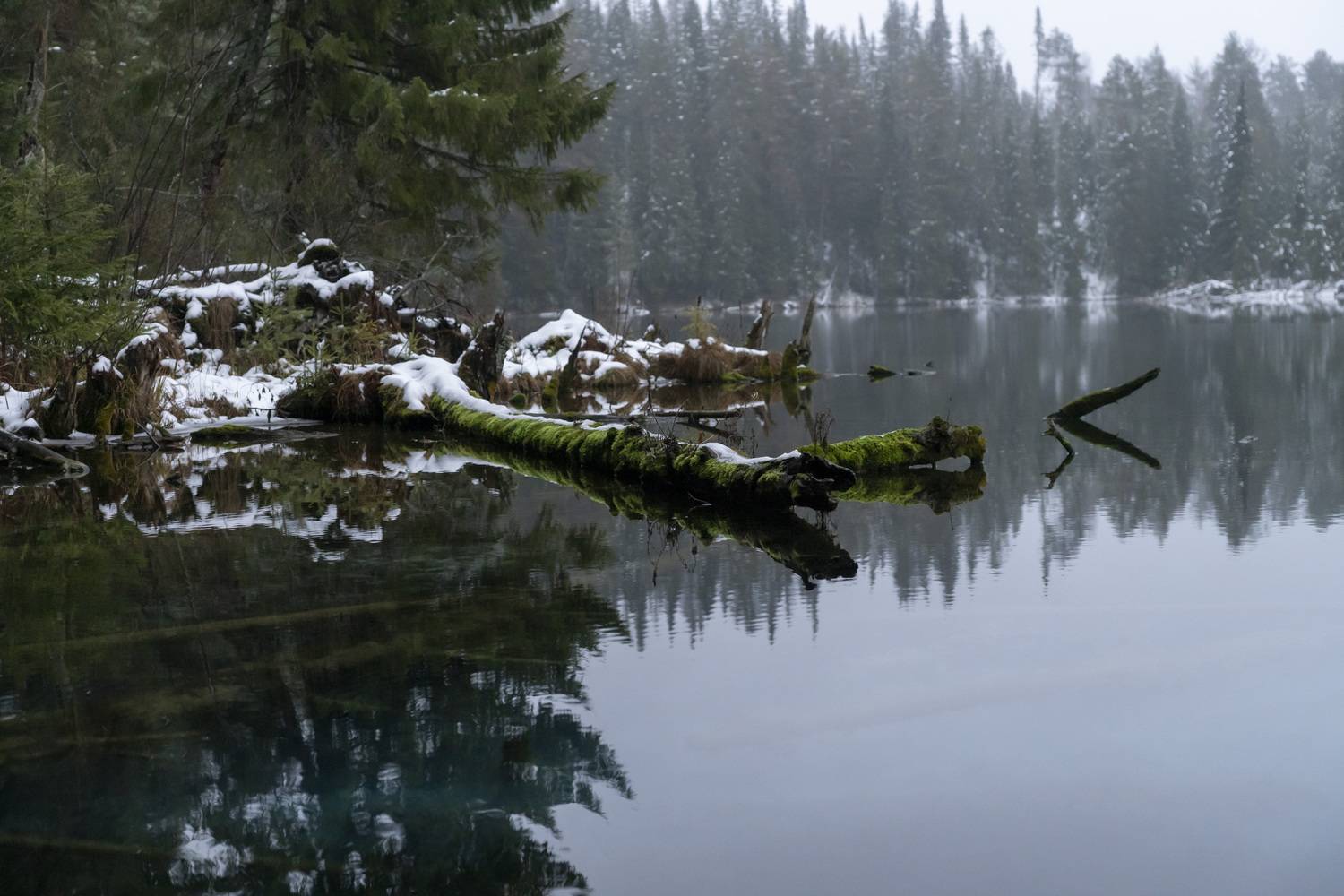 Photo #11470788
