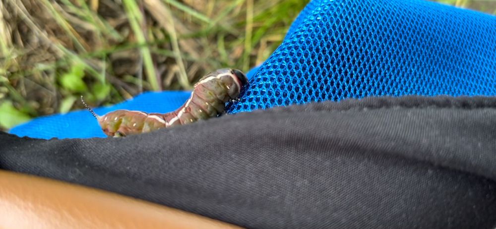 Photograph by Марина Платонова