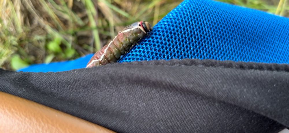 Photograph by Марина Платонова