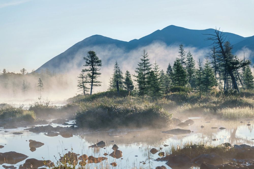 Photograph by Крицак Ольга