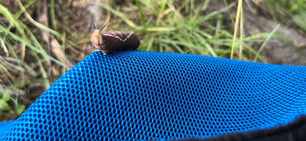 Photograph by Марина Платонова