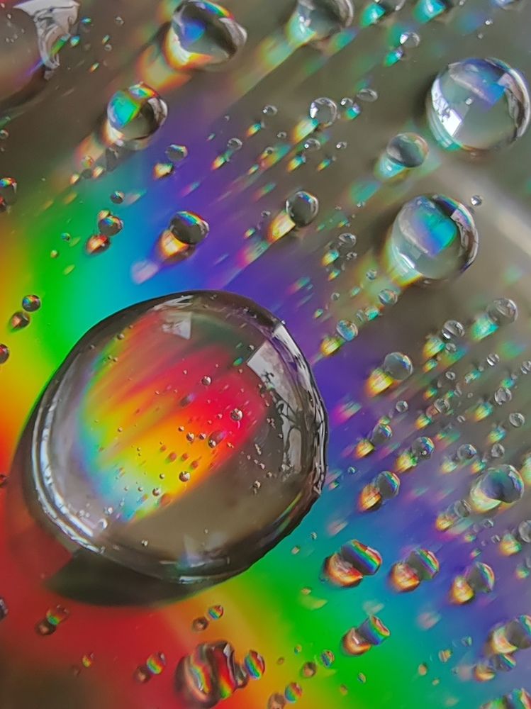 Фотография автора Татьяна Егорова