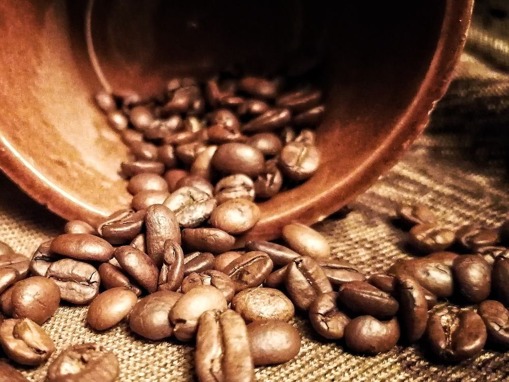 Бодрость в каждом зерне