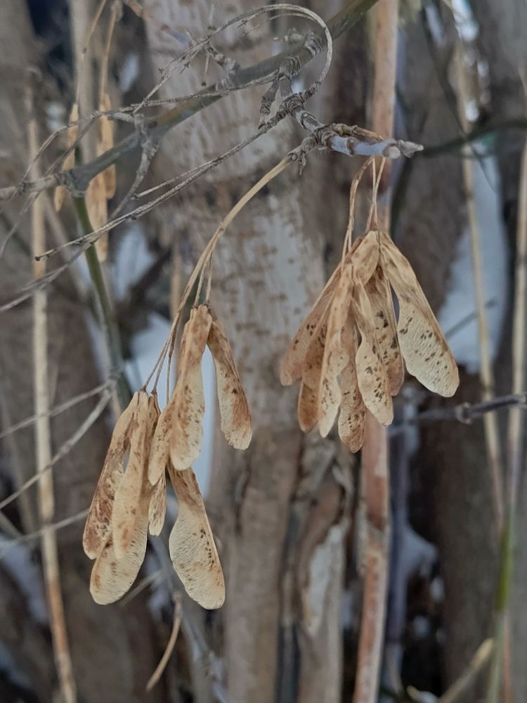 Photograph by Александра Ламанова