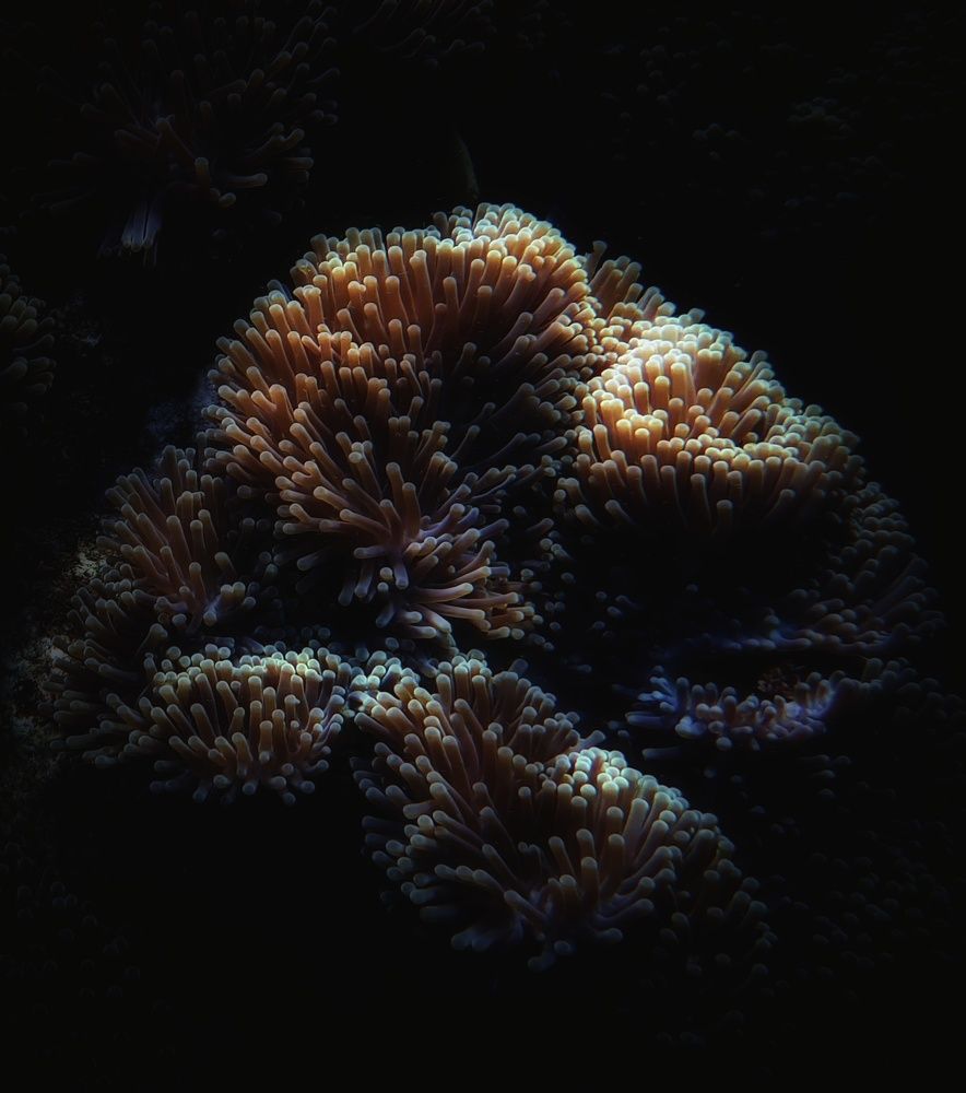 Photograph by Кирилл Леднев