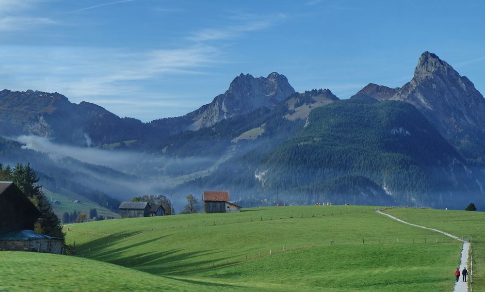 Фотография автора Анатолий Дауров