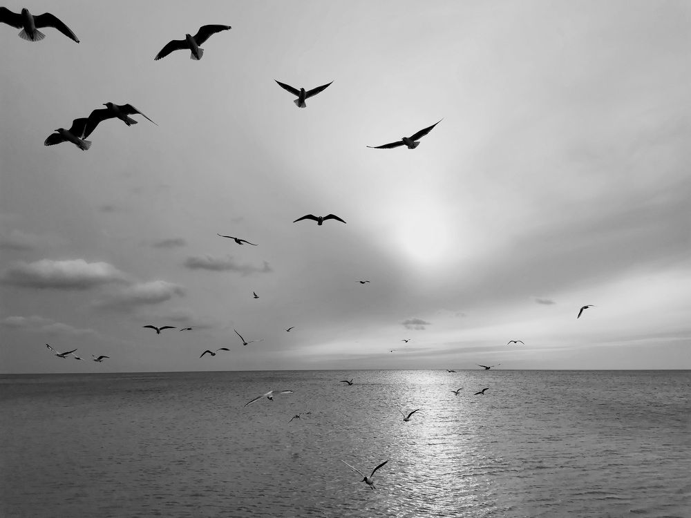 Photograph by Ольга Адольф