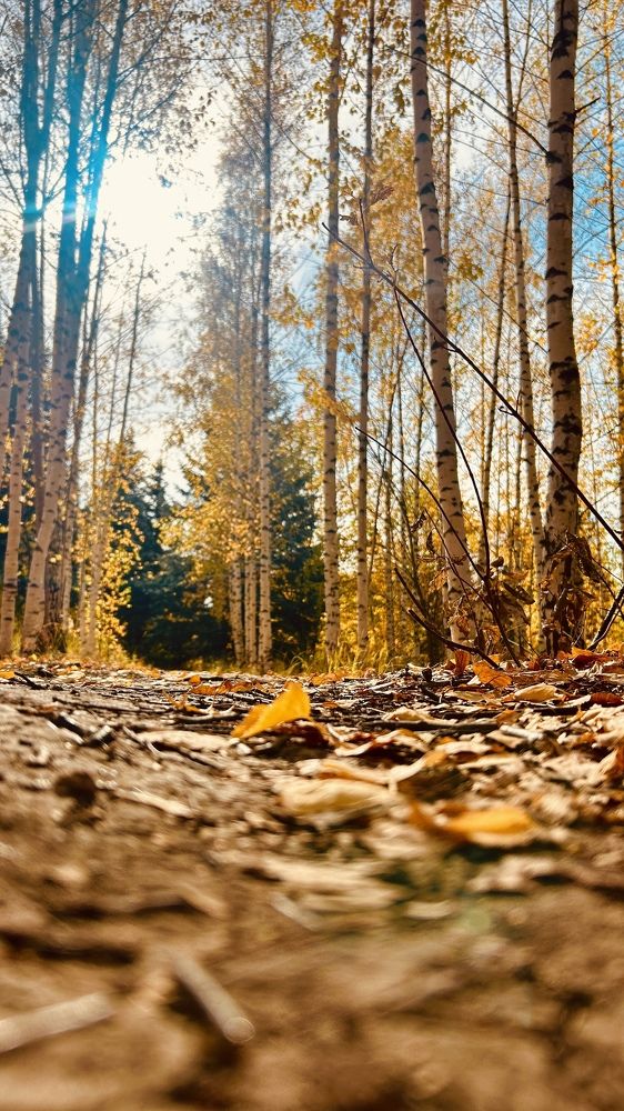 Photograph by Александра