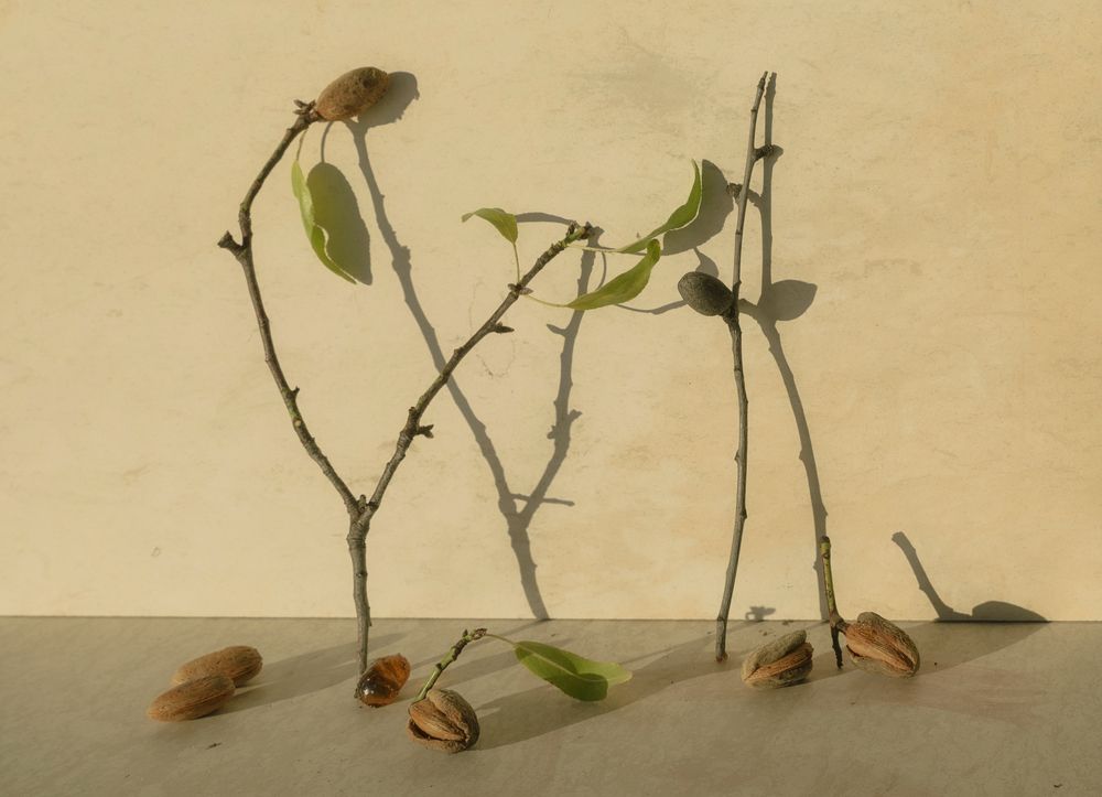 Photograph by Taтьяна Войлокова