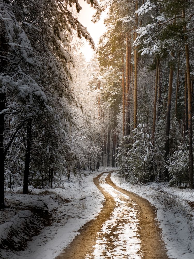 Photograph by Konstantin Martynov