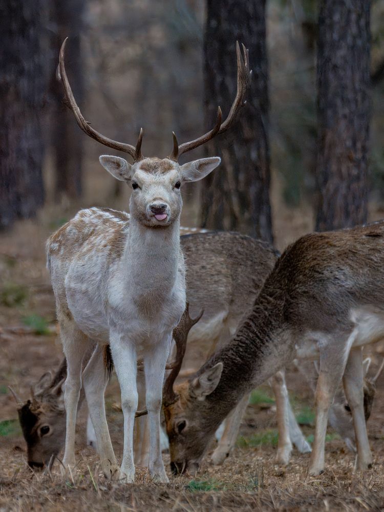 Photograph by Сергей Немцев