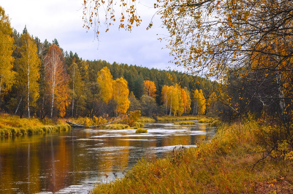 Фотография автора Агапова Арина