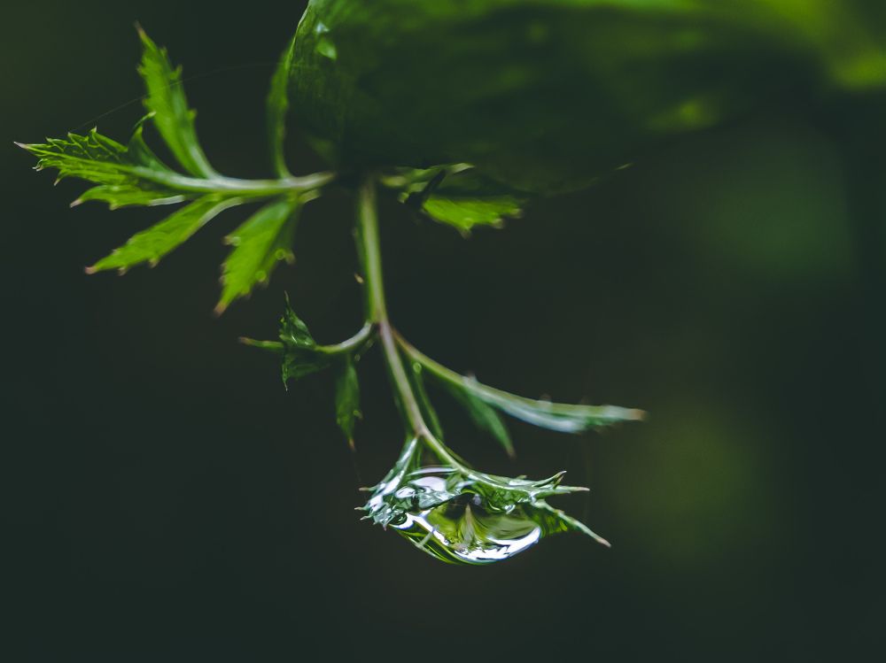 Photograph by Никита Борзов