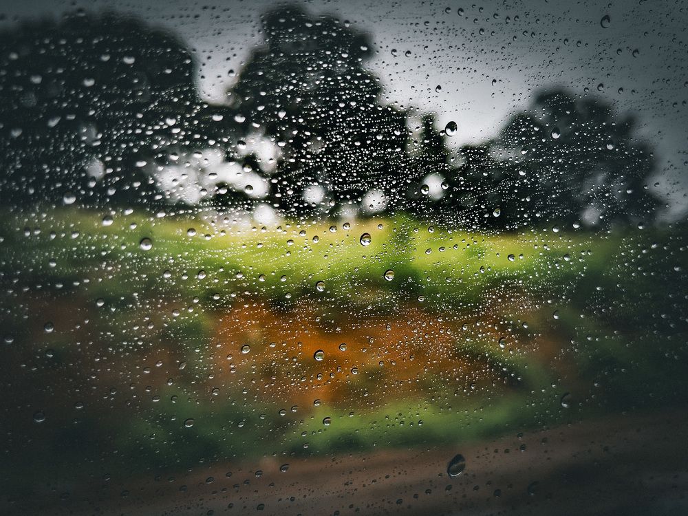 Photograph by Никита Борзов