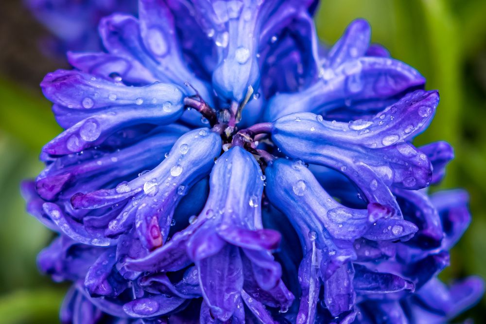 Photograph by Никита Борзов