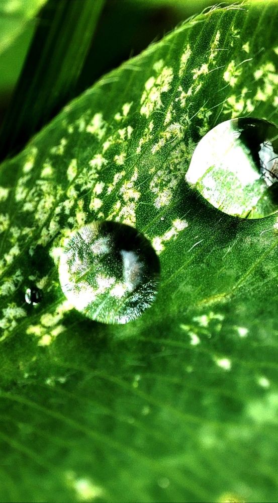 Photograph by Наталья