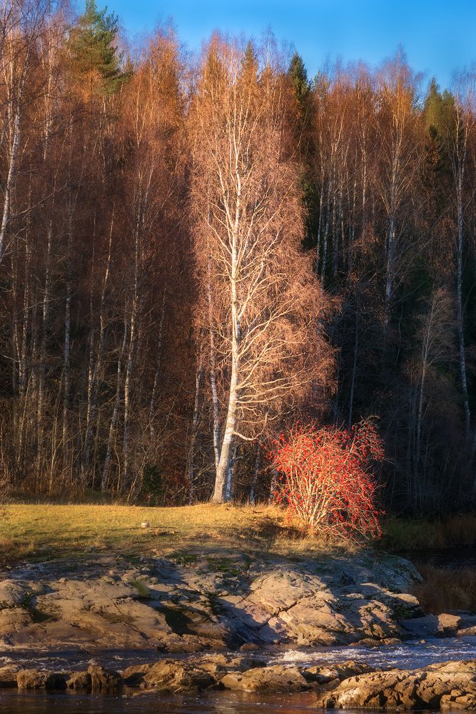 Photograph by Елена Амозова