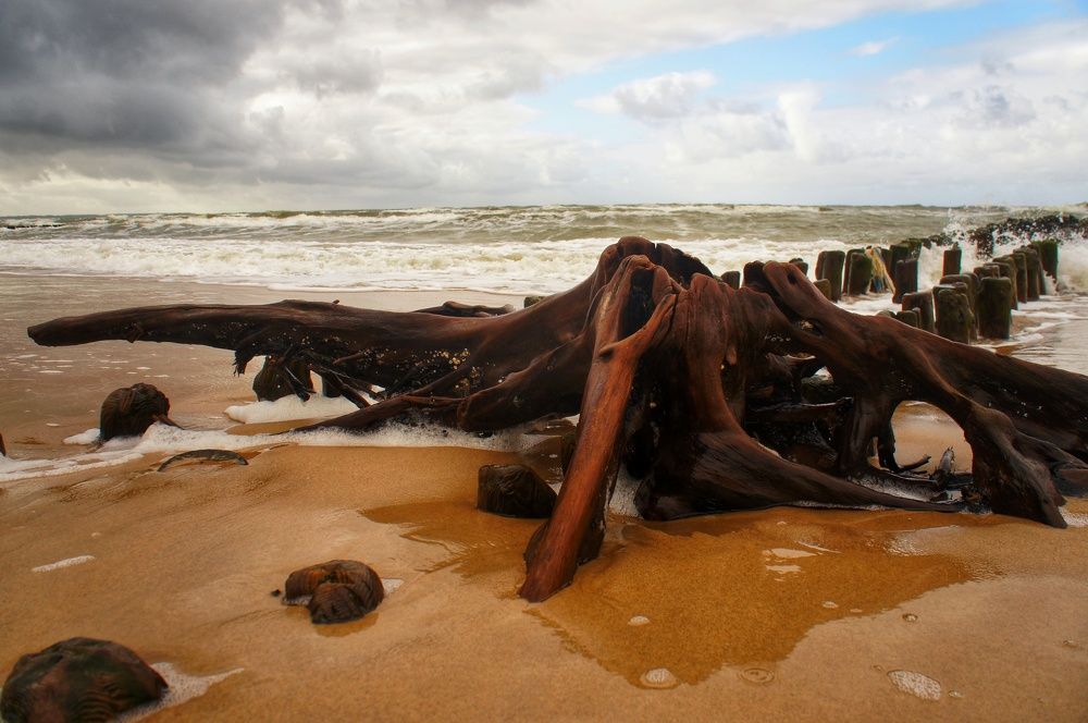 Фотография автора Ксения