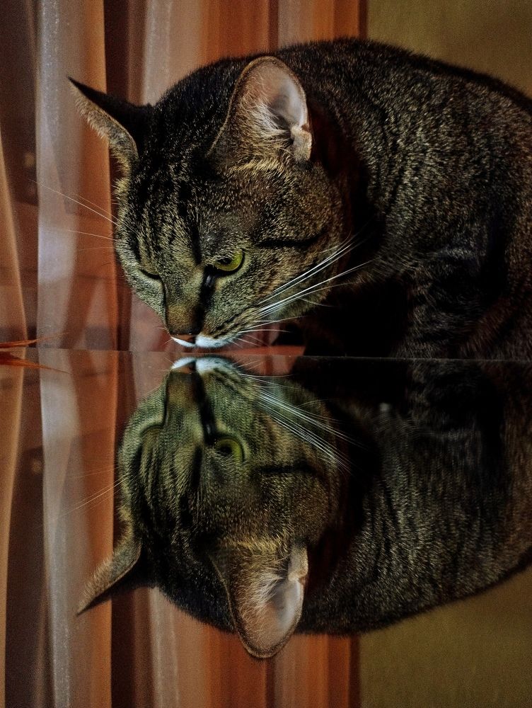 Photograph by Ия Дирко