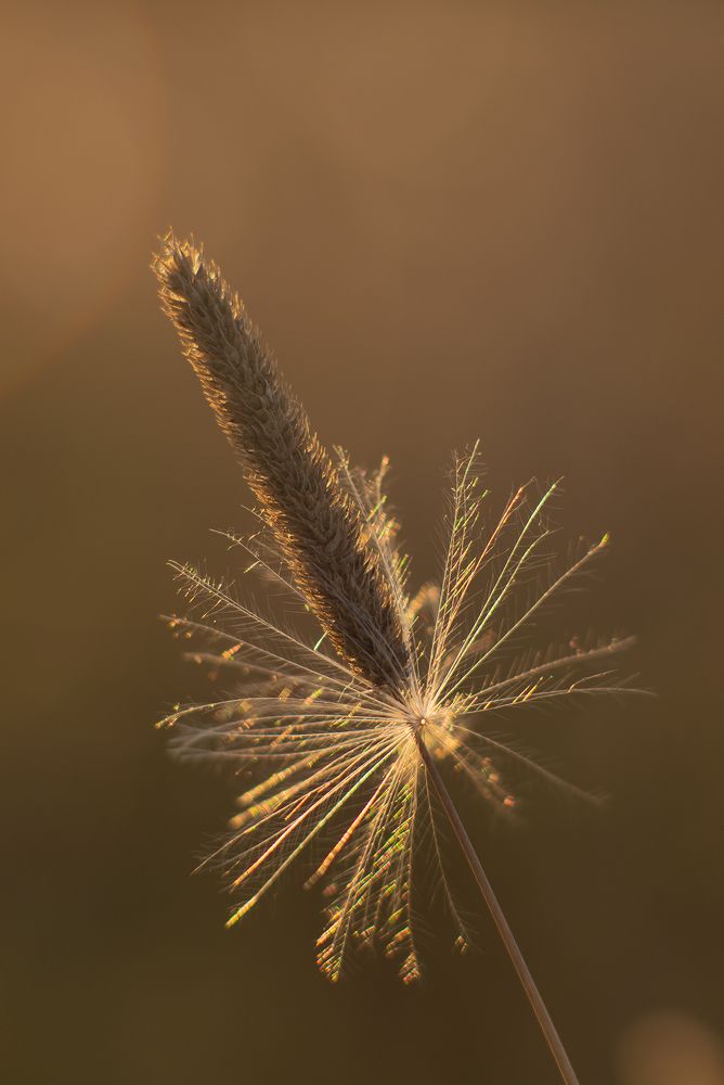 Photograph by Елена Амозова