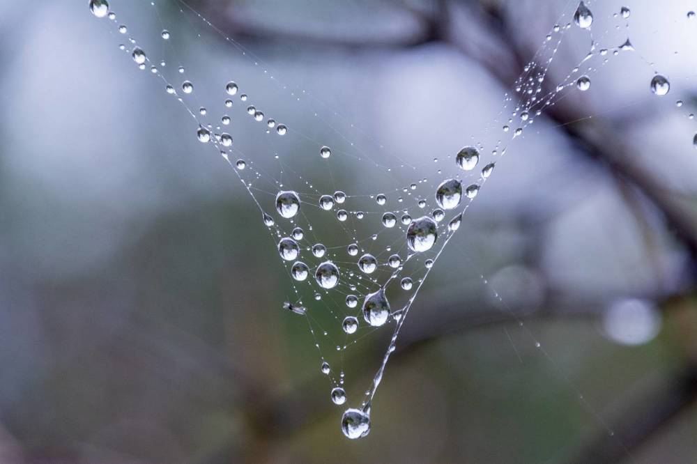 Photograph by Екатерина Крючкова