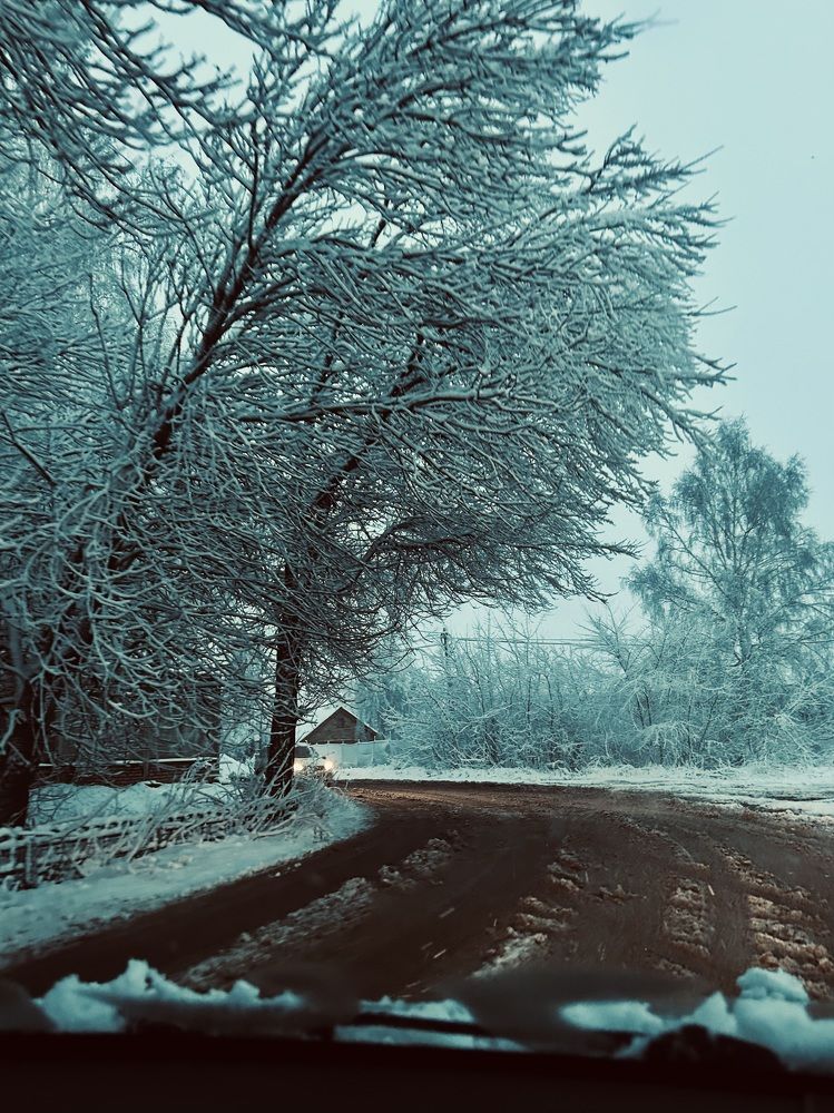 Photograph by Анастасия Бушова
