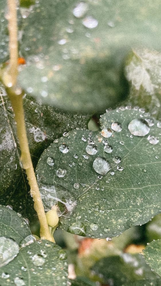 Photograph by Валерия Ефименко