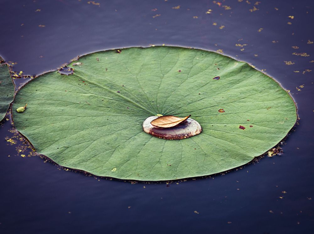 Photograph by Анатолий Костерев