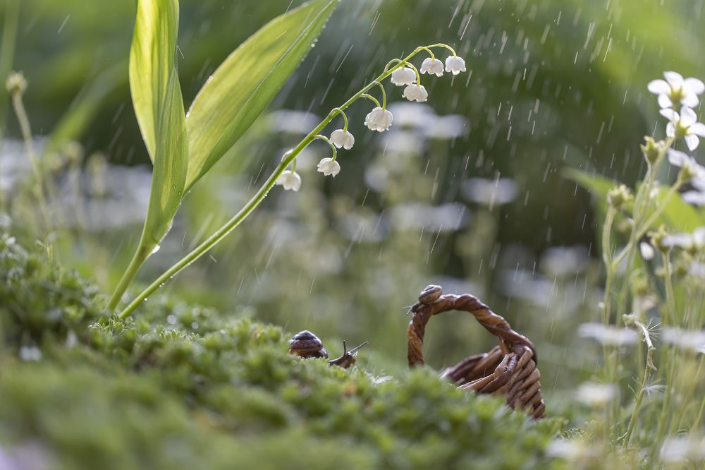 Photograph by Татьяна Феденкова